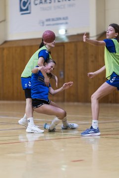Bild 260 - wBJ TSV Ellerau - HSG Stoertal Hummeln : Ergebnis: 26:19